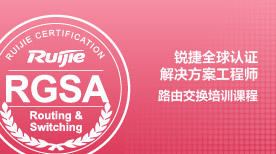 【录播课】RGSA-Routing and Switching